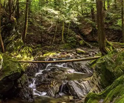 Discover Mont Sutton in Eastern Townships