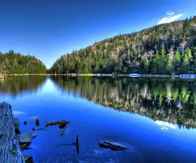 Explore Mont Sutton trail