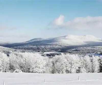 Mont Sutton hiking trail - natural landscape