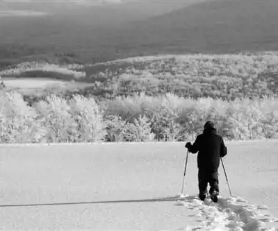 Mont Sutton hiking trail - natural landscape