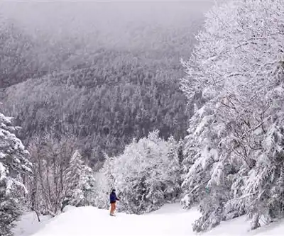 On the trails of Mont Sutton