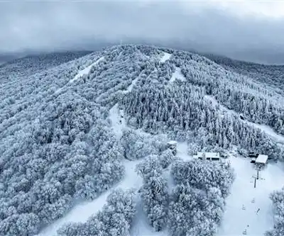 Explore Mont Sutton trail