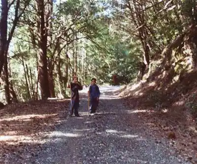 Mountain Road hiking trail - natural landscape