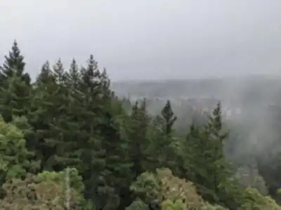 Discover Mount Finlayson in Vancouver Island