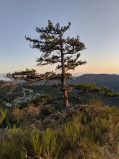 Hiking view of Mount Finlayson