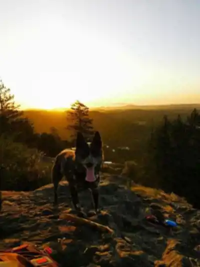 Mount Finlayson hike - nature and outdoors