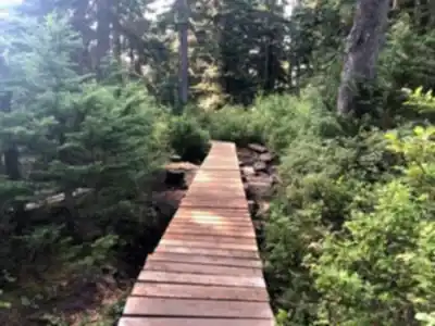 Discover Dog Mountain Trail in Vancouver Coast Mountains