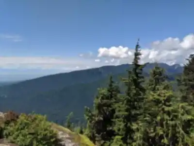 Dog Mountain Trail hiking trail - natural landscape