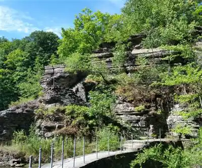 Buttermilk Falls State Park hiking trail - natural landscape