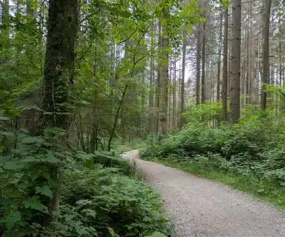 Sentier de randonnée Bridle Path - paysage naturel