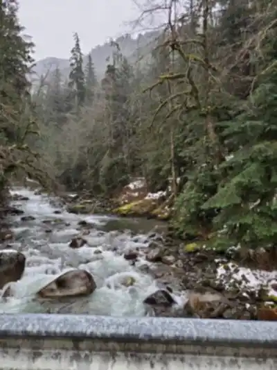 Chilliwack Lake hike - nature and outdoors