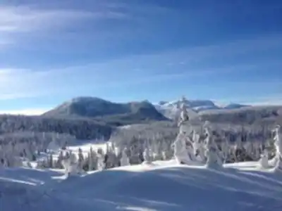 Découvrir Strathcona Provincial Park en Île de Vancouver