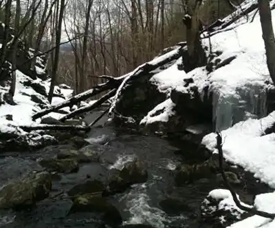 Cascade Trail hiking trail - natural landscape
