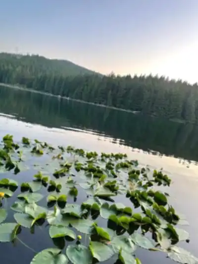 Sasamat Lake hike - nature and outdoors