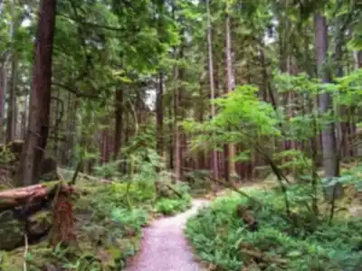 Discover Sasamat Lake in Vancouver Coast Mountains