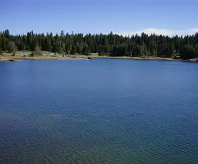 Shaver Lake hiking trail - natural landscape