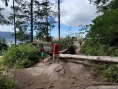 Sur les sentiers de Quarry Rock