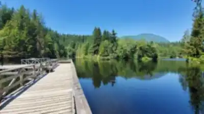 Sentier de randonnée Rice Lake - paysage naturel