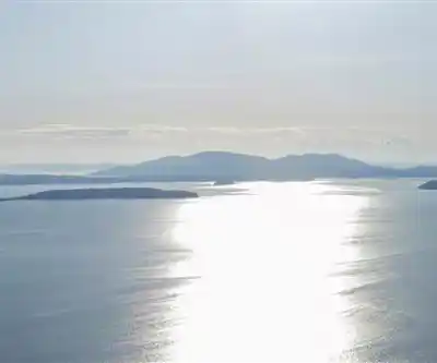Lummi Island hiking trail - natural landscape