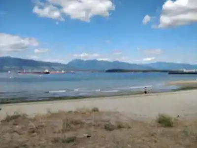 Jericho Beach Park hiking trail - natural landscape