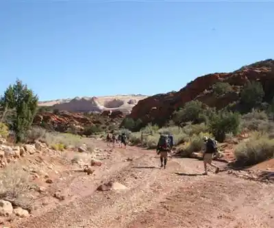 Wire Pass Trailhead hiking trail - natural landscape
