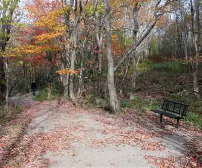 Reservoir Trail hiking trail - natural landscape
