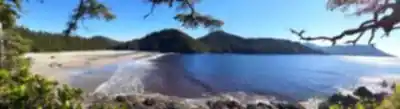 Sentier de randonnée San Josef Bay - paysage naturel