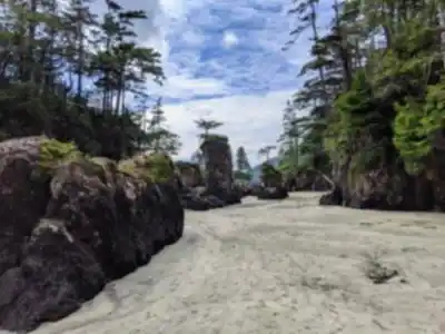 Découvrir San Josef Bay en Île de Vancouver