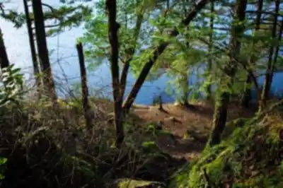 Thetis Lake scenery - hiking