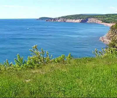 Sentier de randonnée Great Island Trail - paysage naturel