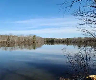 Dresden Bog hiking trail - natural landscape