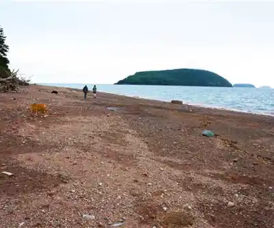 Five Islands Provincial Park hiking trail - natural landscape