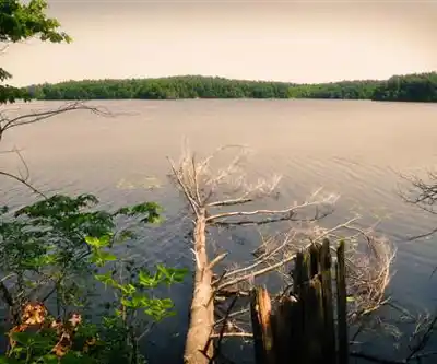 Massasoit State Park hiking trail - natural landscape