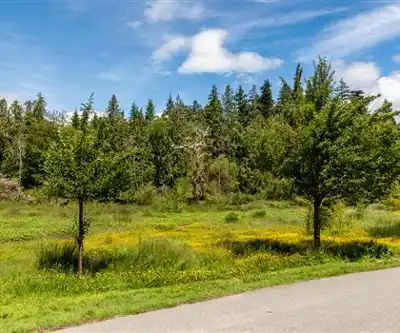 Stanley Park hiking trail - natural landscape