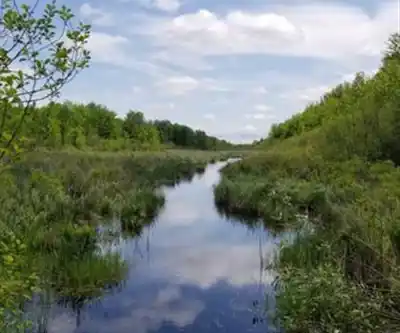 Sentier de randonnée Dewberry Trail - paysage naturel