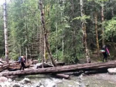Explore Della Falls trail