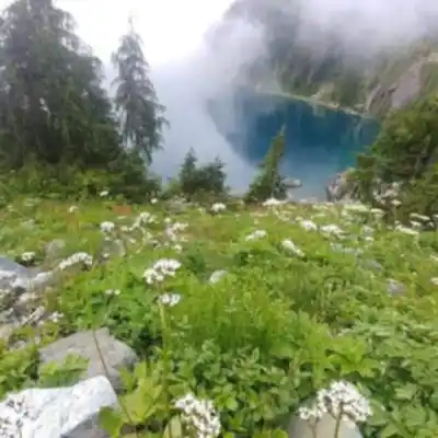 Discover Della Falls in Vancouver Island