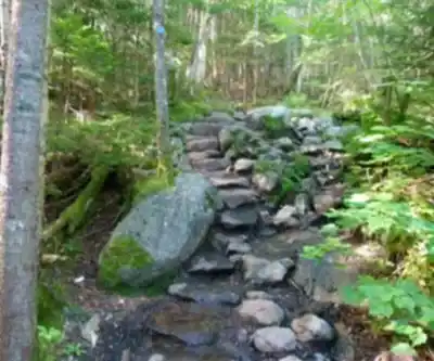 Little Marcy, New York hiking trail - natural landscape