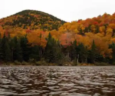 Mount Willard, New Hampshire hiking trail - natural landscape