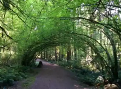 Vue en randonnée de Mundy Park