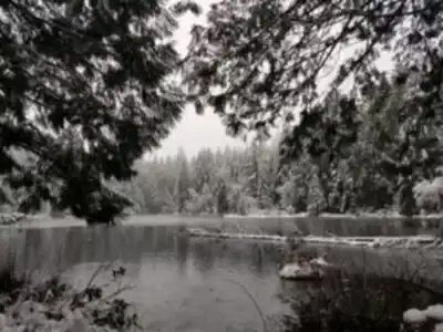 Explorer le sentier Mundy Park