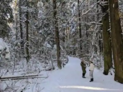 Randonnée Mundy Park - nature et plein air