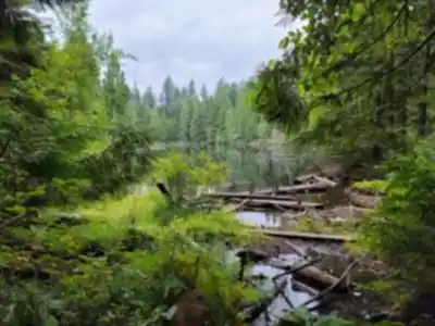 Sentier de randonnée Mundy Park - paysage naturel