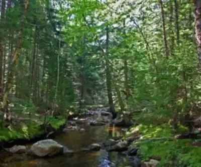 Sentier de randonnée Penobscot Mountain, Maine - paysage naturel