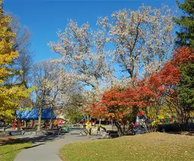 Brewer Park hiking trail - natural landscape