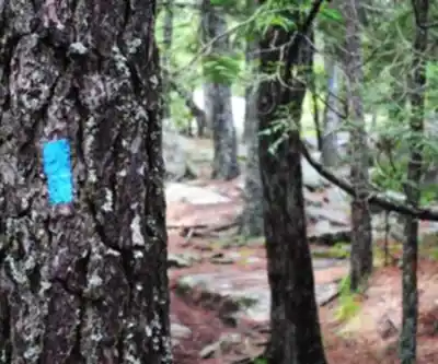 Norumbega Mountain, Maine hiking trail - natural landscape