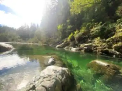 Explore Lynn Canyon Suspension Bridge trail