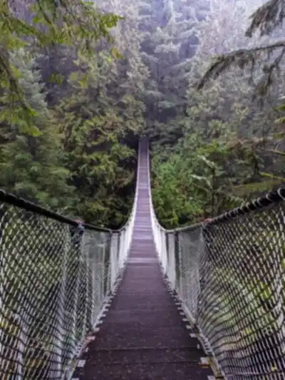 Lynn Canyon Suspension Bridge hiking trail - natural landscape