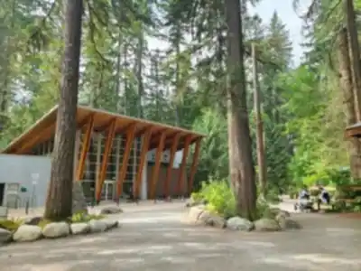 Lynn Canyon Suspension Bridge hike - nature and outdoors