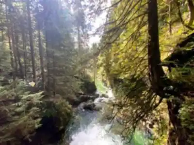 Hiking view of Lynn Canyon Suspension Bridge